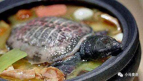 安徽十大名菜 徽菜里最有名最有代表性的菜 安徽地道传统名菜J9九游会 九游会J9(图1)
