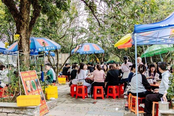 被评分九游会J9 J9九游会低估的珠海小店今天为它们！(图3)