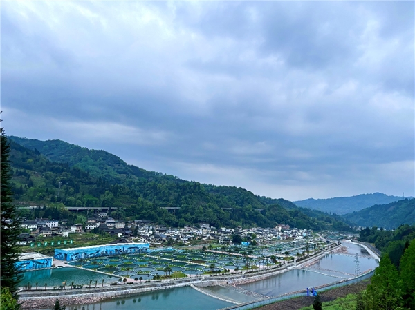 全世界都在吃的芙思塔鱼子酱来自四川九游会J9 J9九游会的大山里？(图9)