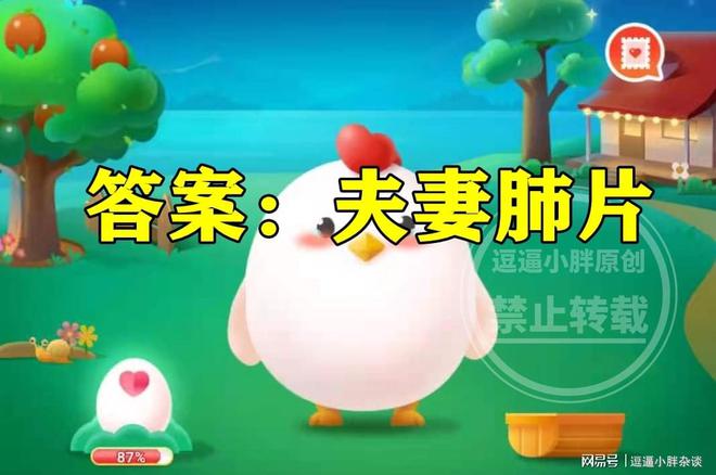 曾被翻译成“史密斯夫妇”的川味凉菜是什么？蚂蚁庄园今日J9九游会 九游会J9答案(图5)
